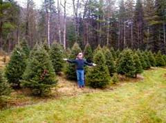 Tree Farm