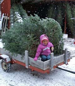 Tree Wagon