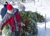 choose cut your christmas tree nh vt christmas tree choose cut your christmas tree nh vt christmas tree