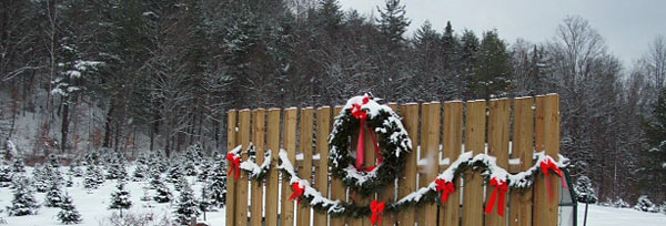 Christmas Display