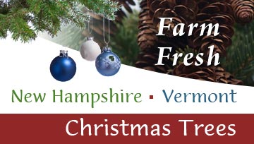 christmas tree association vermont nh trees wholesale hampshire vt