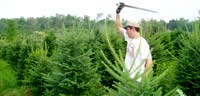 Tree Pruning